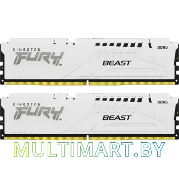 Оперативная память Kingston FURY Beast 2x16GB DDR5 PC5-48000 (KF560C36BWE2K2-32)